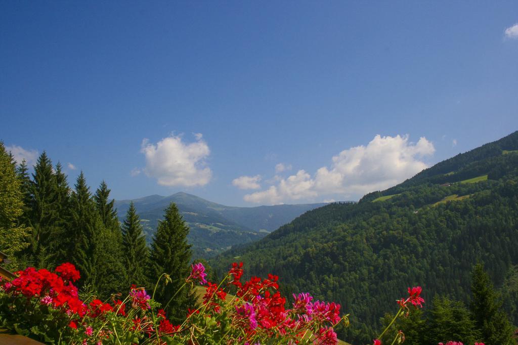 Gaestehaus Berger - Priglhof Hotell Treffen Rum bild