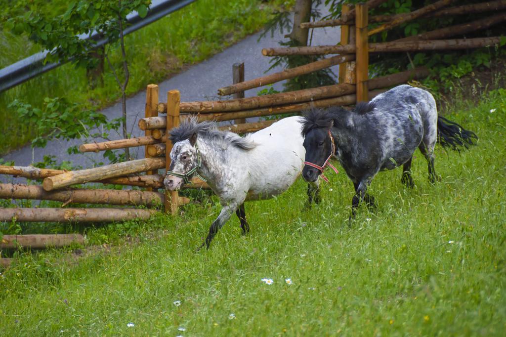 Gaestehaus Berger - Priglhof Hotell Treffen Exteriör bild