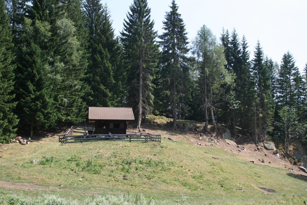 Gaestehaus Berger - Priglhof Hotell Treffen Exteriör bild